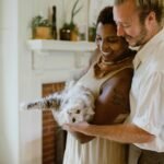 All About Cats: Care, Breeds, Behavior and More Breeds of cats