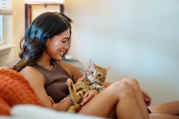 istockphoto-1918696685-612x612